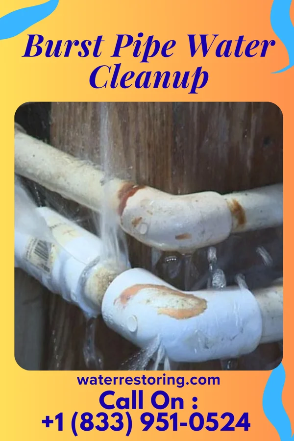 Burst Pipe Water Cleanup in Sarasota, FL