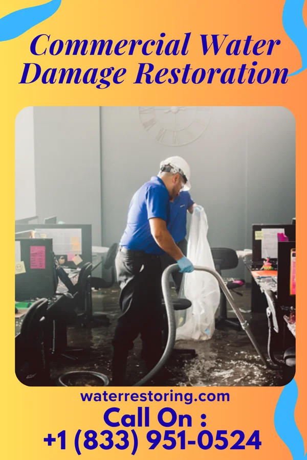 Commercial Water Damage Restoration in Sarasota, FL