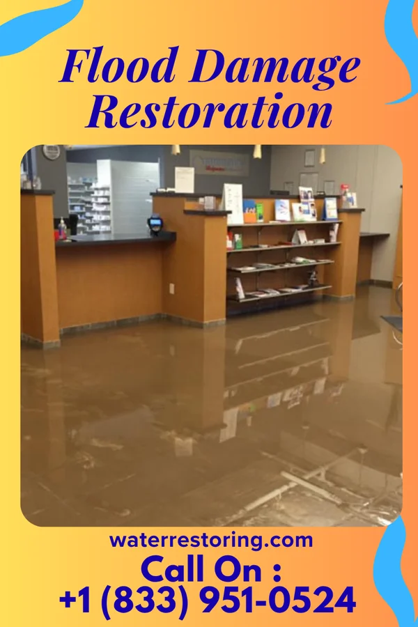 Flood Damage Restoration in Sarasota, FL