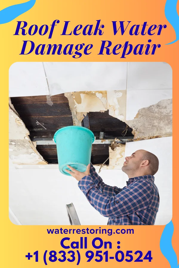Roof Leak Water Damage Repair in Sarasota, FL